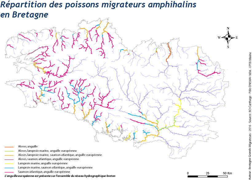 Aire de rrépartition des migrateurs en Bretagne