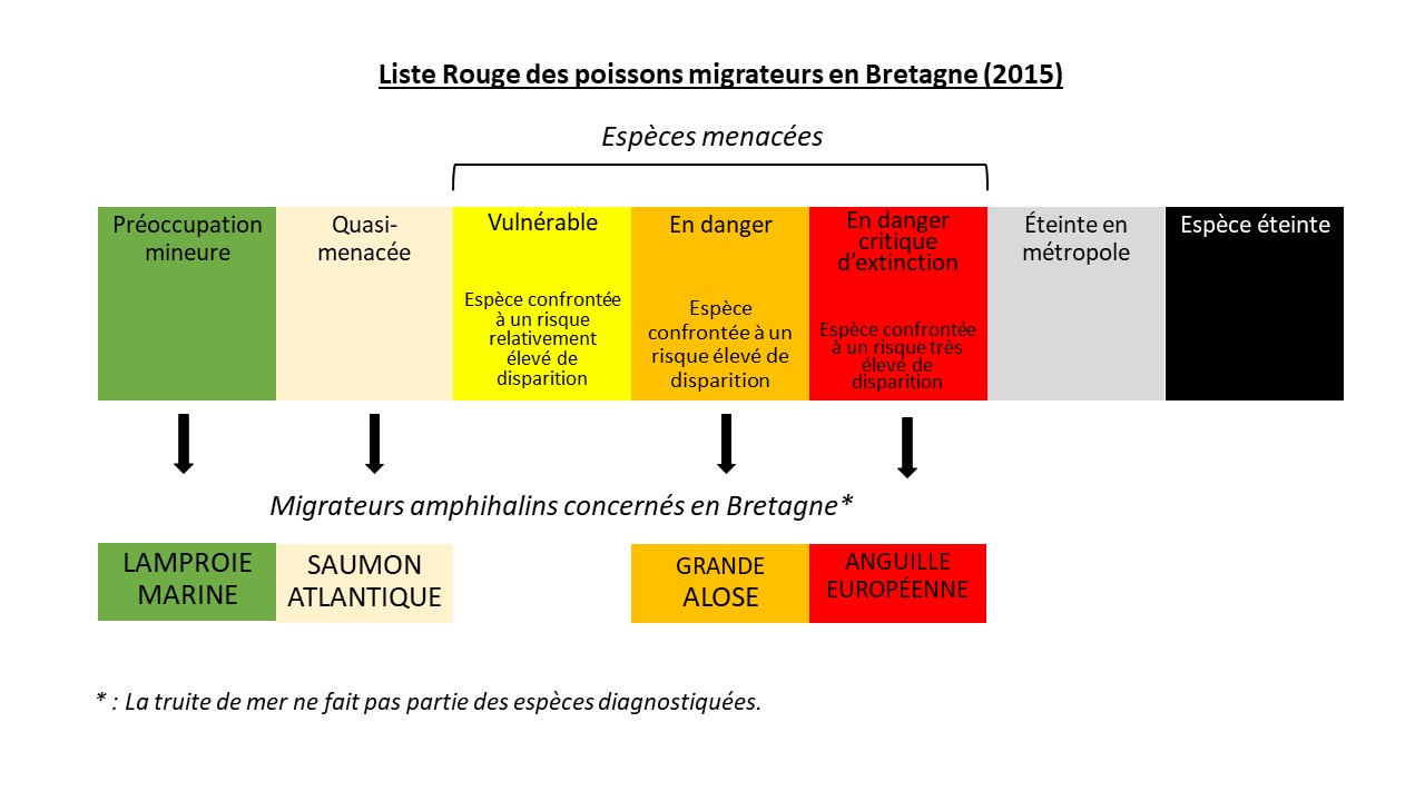 Liste Rouge