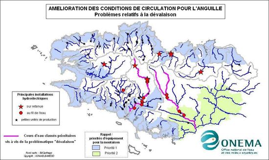 Carte de la ZAP Anguille en Bretagne (Source : Plan de gestion anguille de la France, Volet de l'unité de gestion Bretagne)