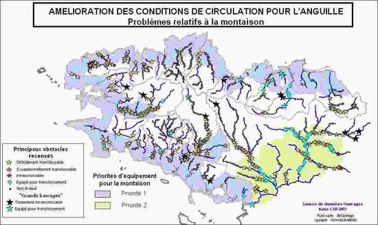 Carte de la ZAP Anguille en montaison en Bretagne (Source : Plan de gestion anguille de la France, Volet de l'unité de gestion Bretagne)