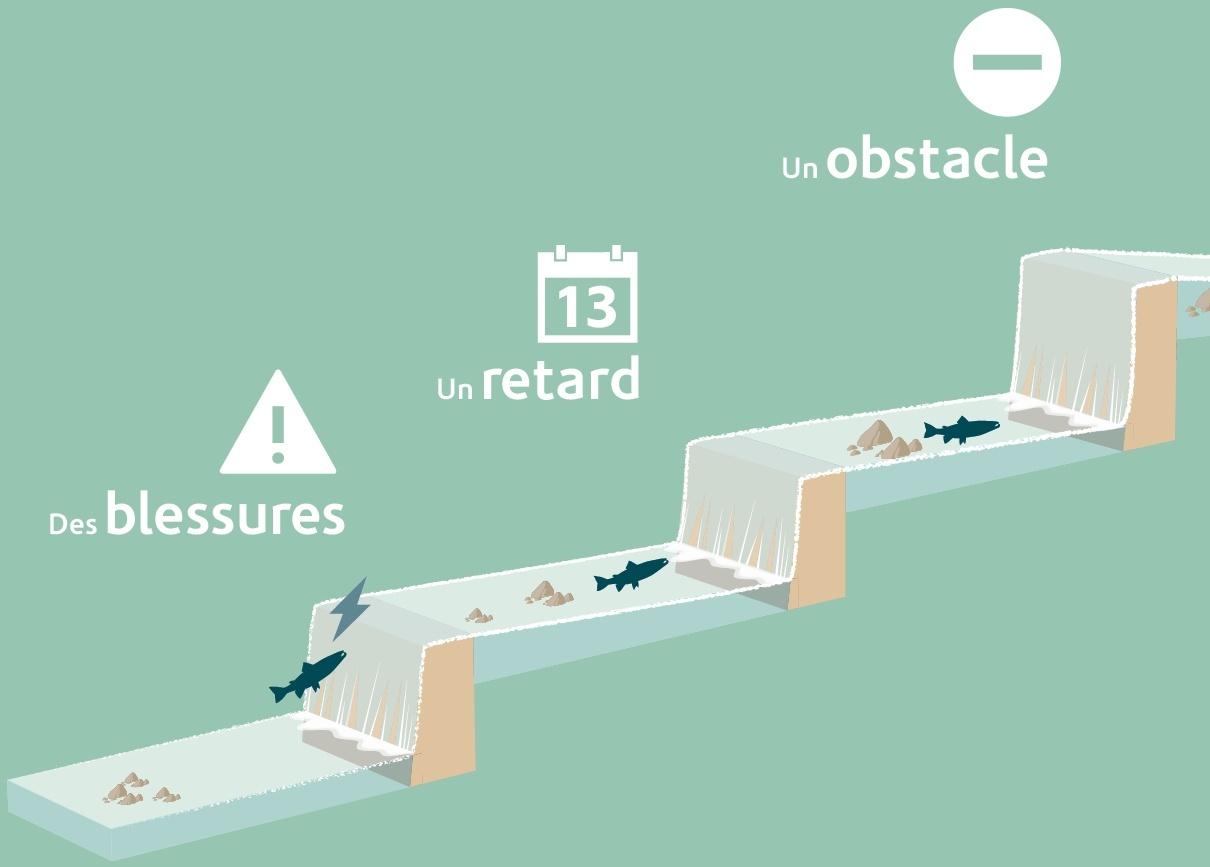 Ouvrages impacts continuité piscicole