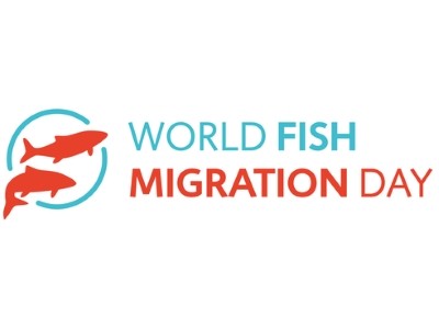 Journée mondiale en faveur de la libre circulation des poissons migrateurs 