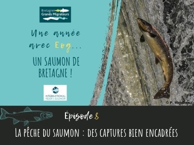 Une année avec Eog ! épisode 8 - Pêche du saumon : des captures bien encadrées