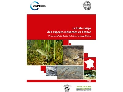 Les poissons migrateurs menacés d'extinction