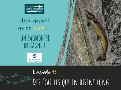 Une année avec Eog! épisode 15 - Des écailles qui en disent long...