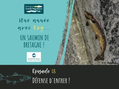 Une année avec Eog! épisode 18 - Défense d'entrer !