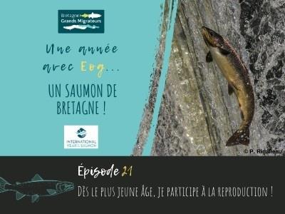 Une année avec Eog ! Episode 21 - Dès le plus jeune âge, je participe à la reproduction !
