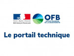 Plan national Migrateurs Amphihalins -Restitution du webinaire des 21 et 22 janvier 2021
