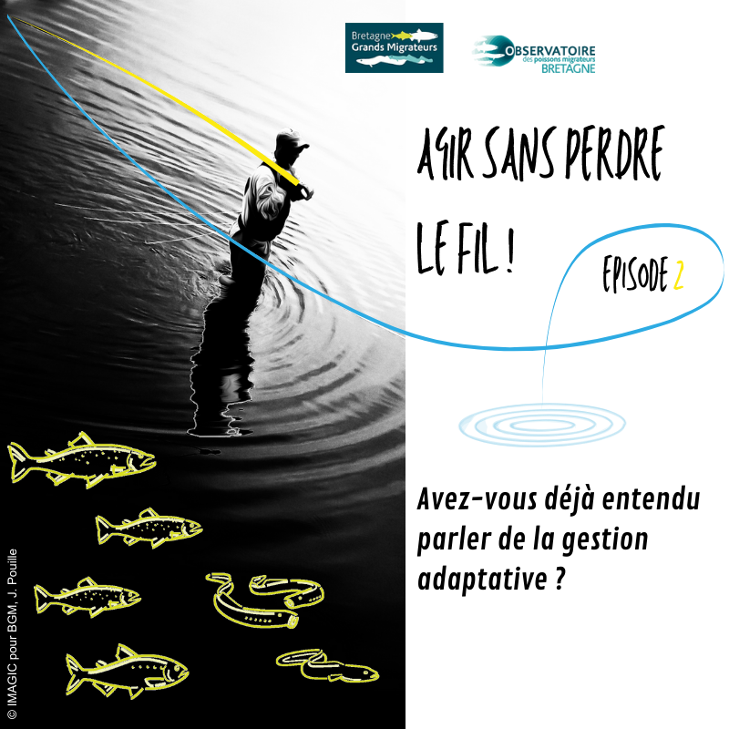 2025 chronique article 1