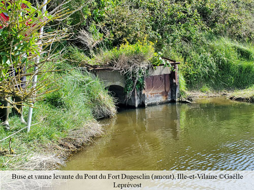 Diapositive1