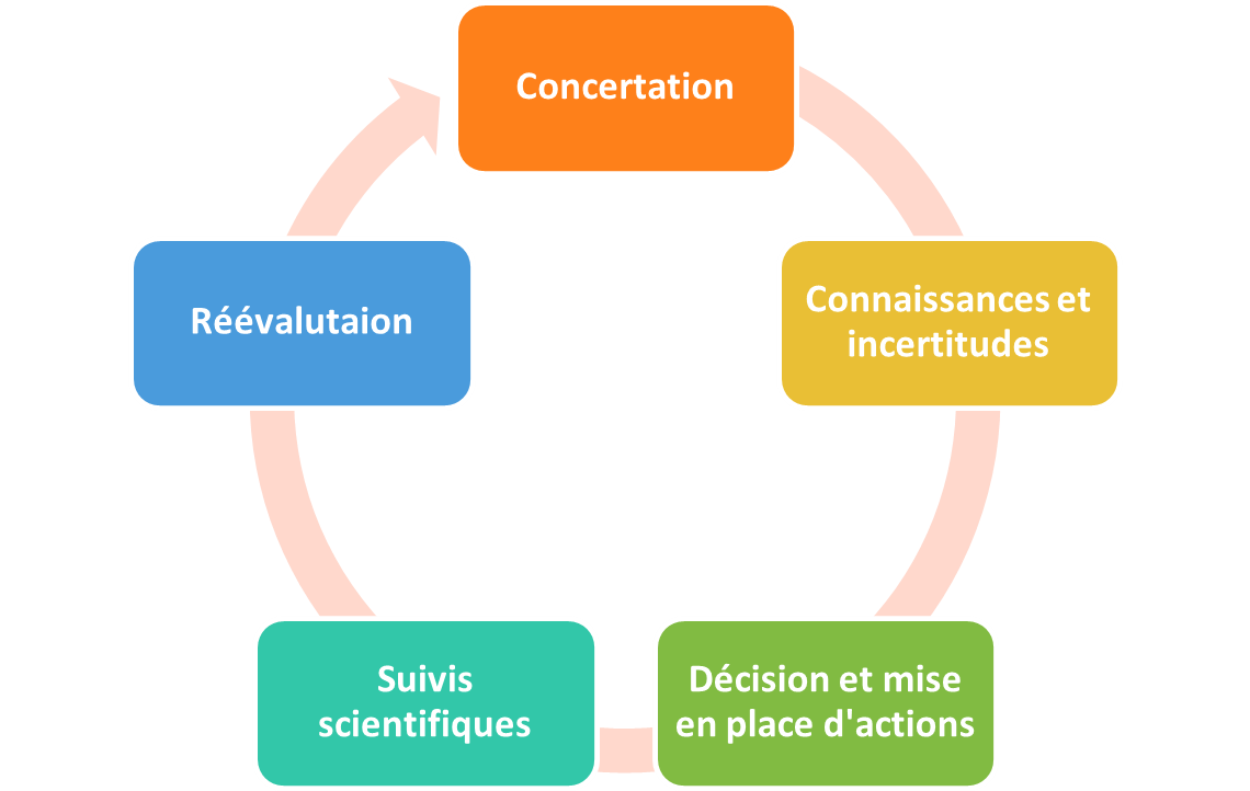 Figure 2 article 2