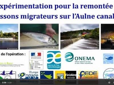 actualites 2016 N118