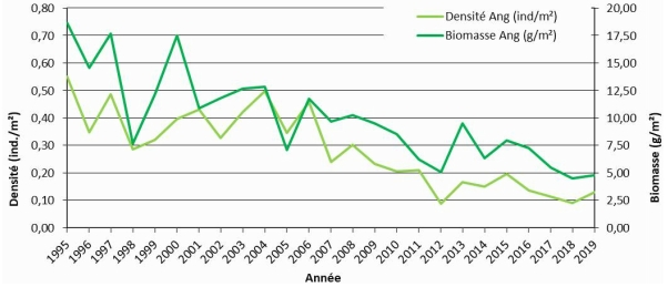 2018 stock anguilles Fremur