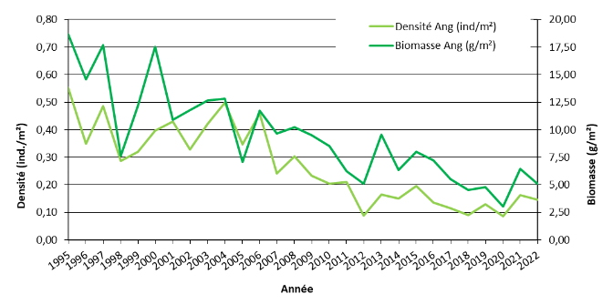 2018 stock anguilles Fremur