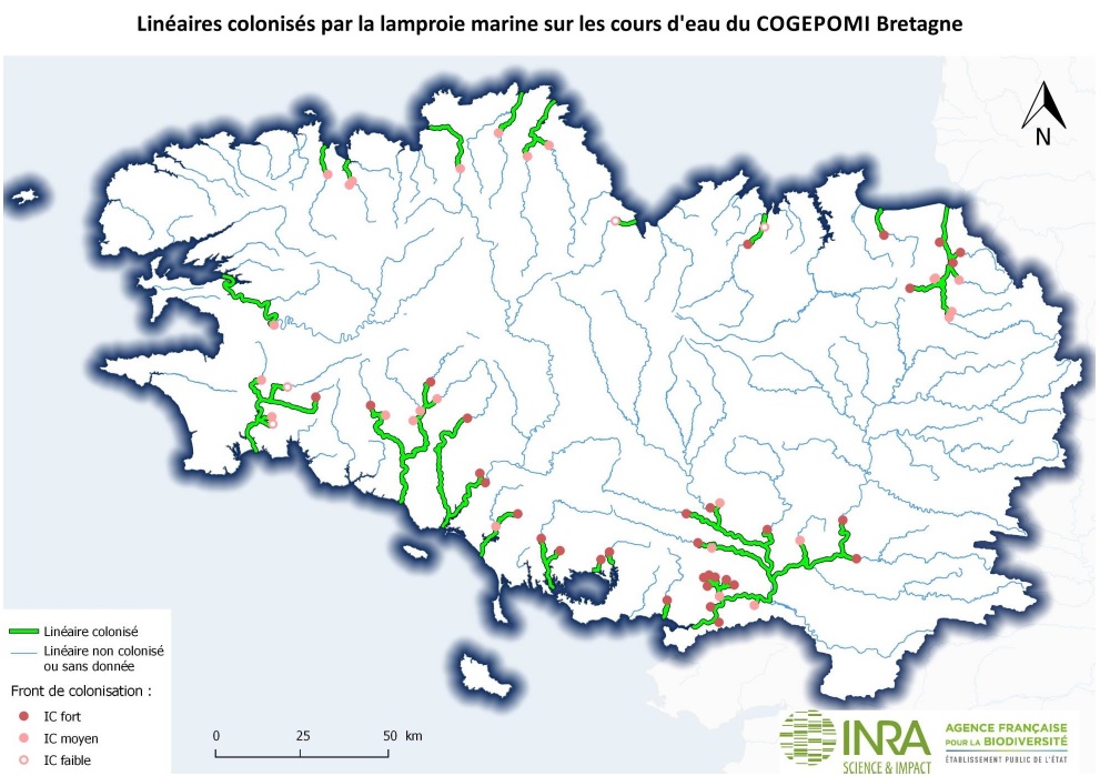 2018 AFB INRA Lineaire colonise LPM