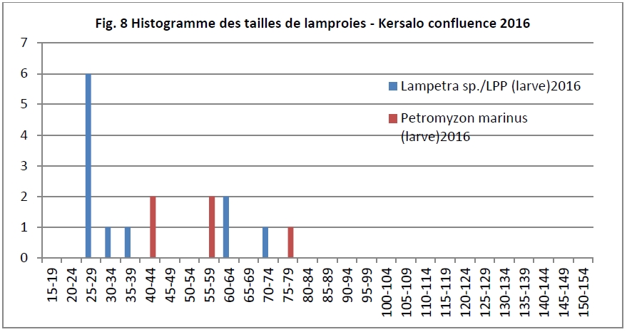 LPM ammocetes Kersalo 2016