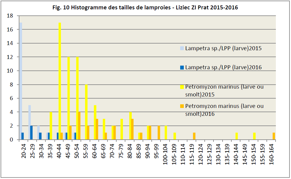 LPM ammocetes Liziec aval 2016
