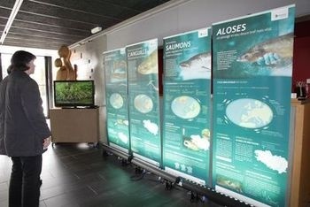 Photo de l'exposition itinérante