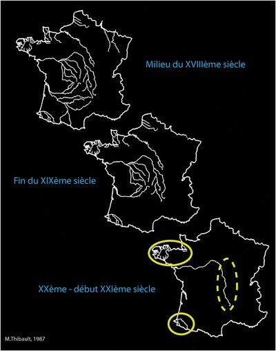 Agrandir l'image