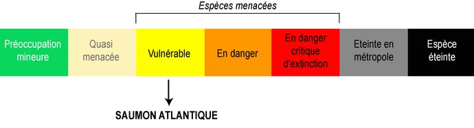 Classement UICN du saumon