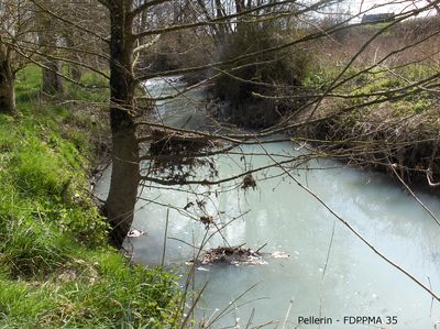 Pollution_Pellerin