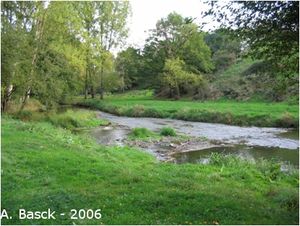 Cours d'eau préservé