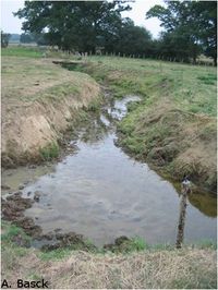 Cours d'eau banalisé