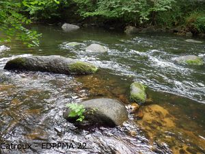 Le Léguer à Tonquédec (Catroux - FDPPMA 22)