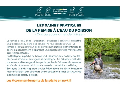 Les saines pratiques de la remise à l'eau Image 1