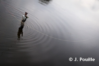 SAMARCH - Les pêcheurs de salmonidés migrateurs ont donné ... Image 1