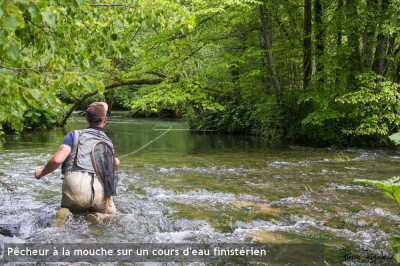 Renovation de la stratégie de gestion du saumon en Bretagne ... Image 1