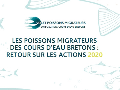 Actions en faveur des poissons migrateurs menées en Bretagne Image 1