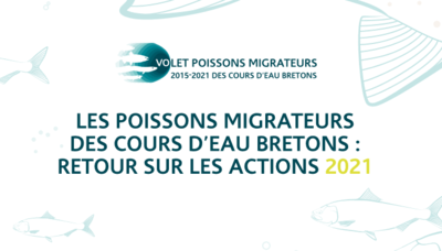 Actions en faveur des poissons migrateurs menées en Bretagne Image 1