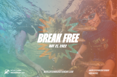 Break Free ! la journée mondiale pour la libre criculation ... Image 1