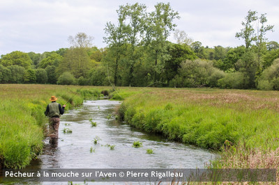 !! Fermeture de la pêche du saumon et de la truite de mer ... Image 1