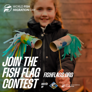 CONCOURS - Crée un drapeau de poisson migrateur ! Image 1