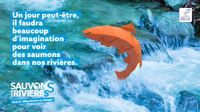 Sauvons nos rivières – Acte 2 – Migrateurs en danger Image 4