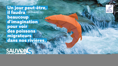 Sauvons nos rivières – Acte 2 – Migrateurs en danger Image 1