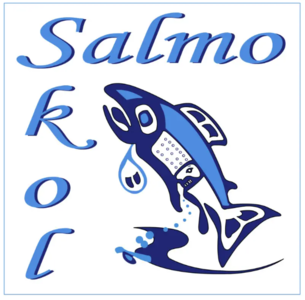 Ecole d'été SALMO-SKOL Image 1