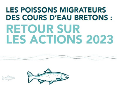 Le bilan des actions en faveur des poissons migrateurs pour ... Image 1