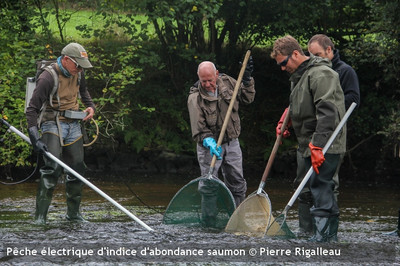 2024, une seconde année catastrophique pour le recrutement ... Image 1