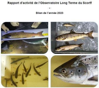 Le bilan de l'Observatoire long terme du Scorff pour ... Image 1