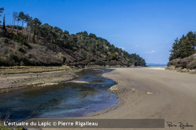Pêche en mer et en estuaires des poissons migrateurs en ... Image 1