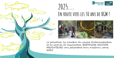 Bonne année 2025 ! Image 1