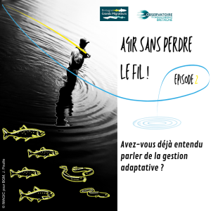 Agir sans perdre le fil ! Article 2 - Avez-vous déjà ... loading=